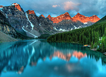 博鱼官网：开启你的线上娱乐新纪元